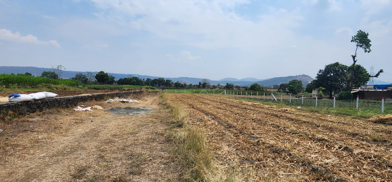 Resale 1000 Sq.Ft. Plot in Bavdhan Pune 5590546