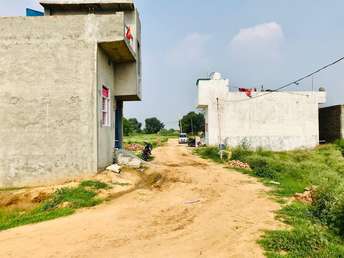  Plot For Resale in Sikri Faridabad 5591971