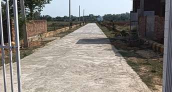  Plot For Resale in Banthra Sikander Pur Lucknow 5592696