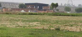  Plot For Resale in Sikri Faridabad 5593228