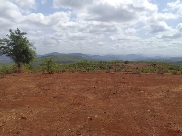 Plot Area in  Plot at Mandangad – for Sale