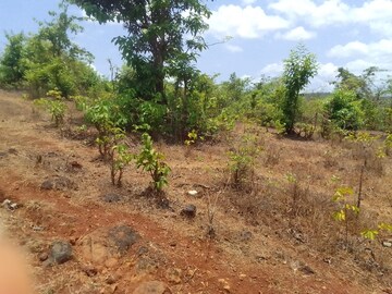 Plot Area in  Plot at Mandangad – for Sale