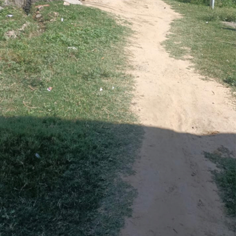  Plot For Resale in Sector 17 Panipat 5596583