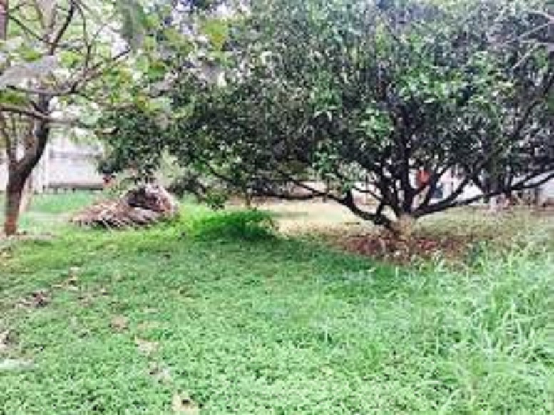 Resale 3485 Sq.Ft. Plot in Ferns Meadows, Hennur Road Bangalore 5597893