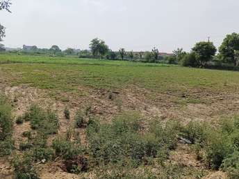 Commercial Land 2 Acre For Resale In Mathura Road Palwal 5598104