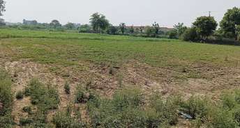 Commercial Land 2 Acre For Resale In Mathura Road Palwal 5598104