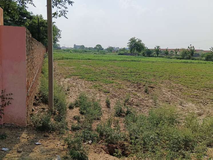 Patli Industrial Zone Mai Aggriculture Land