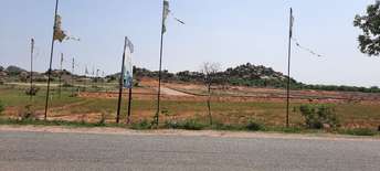  Plot For Resale in Mallepally Hyderabad 5598837