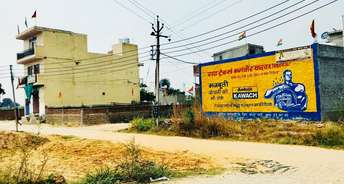  Plot For Resale in Kail Gaon Faridabad 5600306
