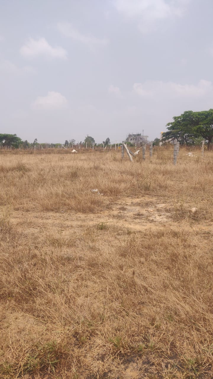 1415+ Properties for Sale Near The Grand Krishna Rooms, Madiwala Bangalore