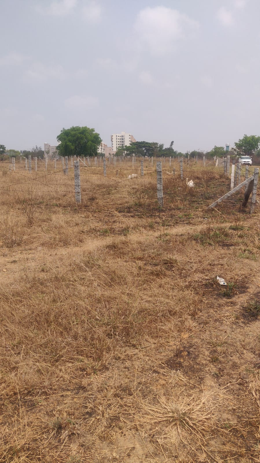 1415+ Properties for Sale Near The Grand Krishna Rooms, Madiwala Bangalore