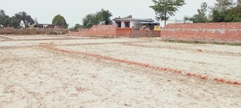 Plot For Resale in Sultanpur Road Lucknow  5612562