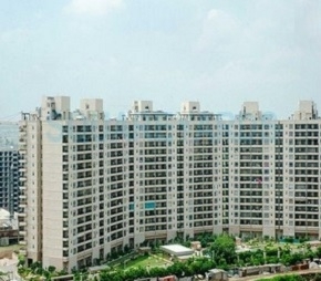 3 BHK Apartment For Rent in Central Park II-Bellevue Sector 48 Gurgaon  5616209