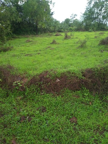  Plot – Exterior View View at Mandangad - for Sale
