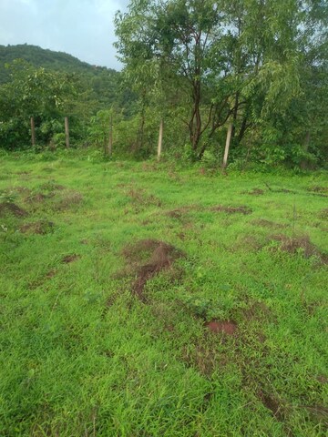 Plot For Resale in Mandangad Ratnagiri  5618178