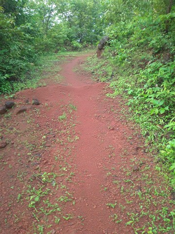  Plot – Exterior View View at Mandangad - for Sale