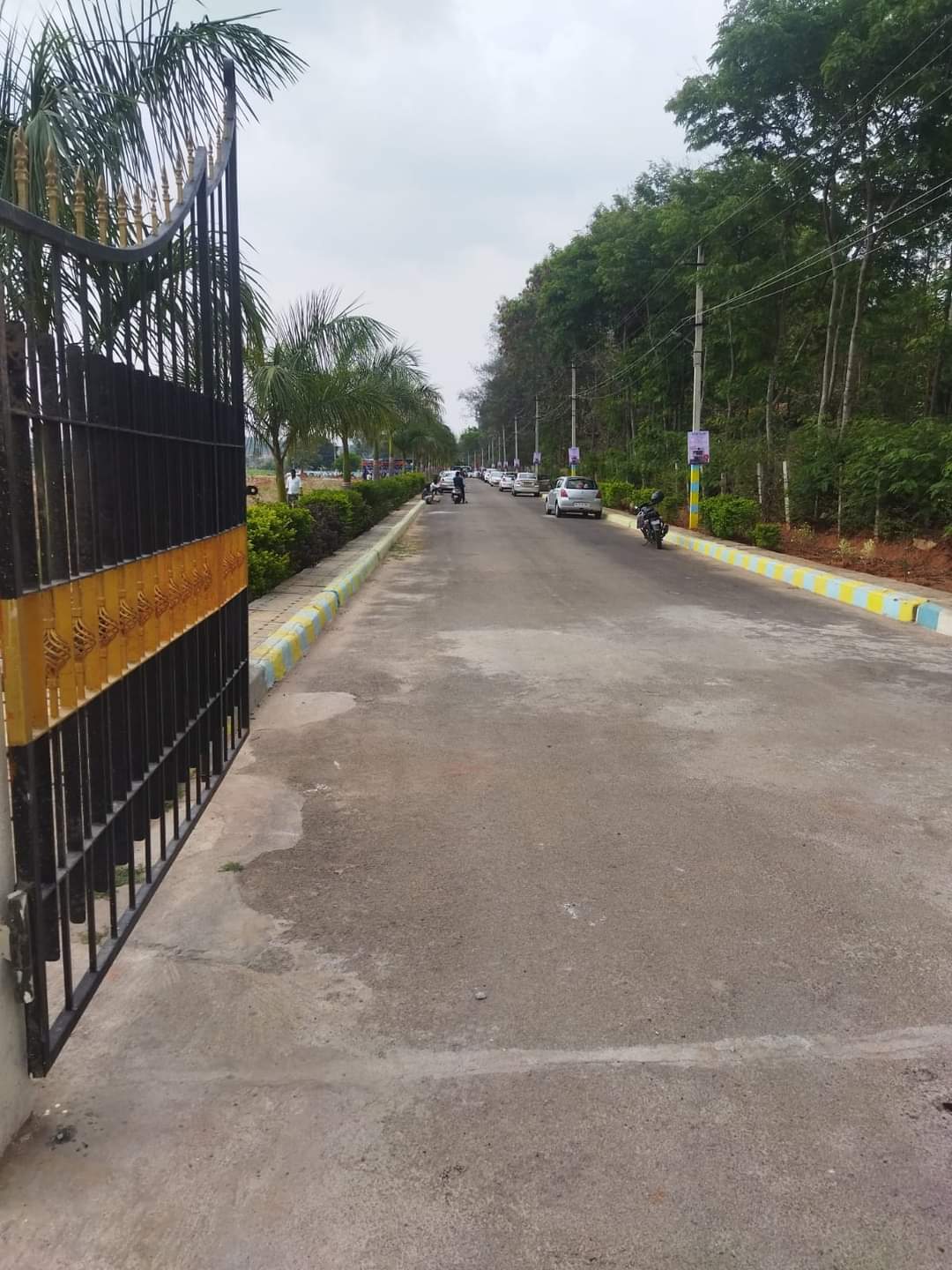 Resale 600 Sq.Ft. Plot in Jakkasandra Bangalore 5618964