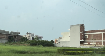  Plot For Resale in Mullanpur Chandigarh 5620722