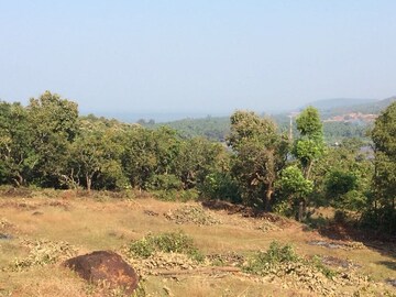  Plot For Sale in Dapoli