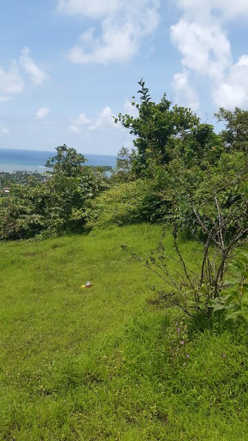 Plot Area in  Plot at Dapoli – for Sale