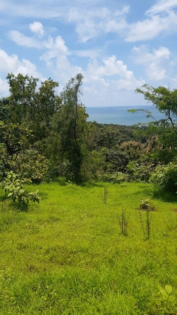 Plot Area in  Plot at Dapoli – for Sale