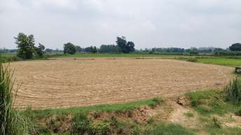 Commercial Land 20 Acre For Resale In Shuklaganj Unnao 5622230