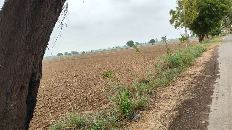 Commercial Land 2 Acre in Khotpura Panipat