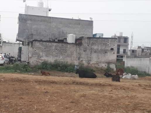 100 Sq.Yd. Plot in Badshahpur Gurgaon