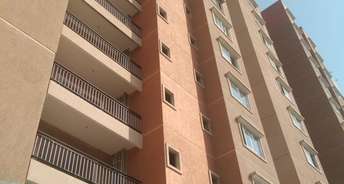2 BHK Apartment For Rent in SV Grandur Electronic City Phase ii Bangalore 5626552