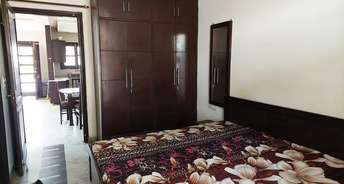 3 BHK Independent House For Resale in Achheja Greater Noida 5627622