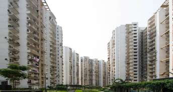 3 BHK Apartment For Resale in Noida Expressway Noida 5628863