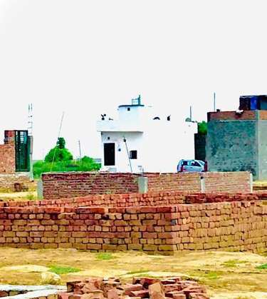 100 Sq.Yd. Plot in Old Faridabad Faridabad