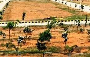  Plot For Resale in Omaxe City   Omaxe Heights Sector 97 Faridabad 5629628