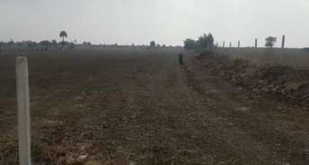 Commercial Land 2 Acre For Resale In Kodangal Hyderabad 5632025
