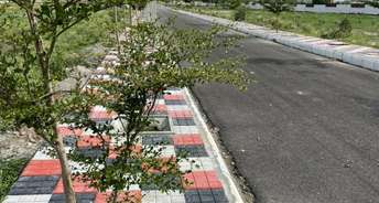  Plot For Resale in Sangareddy Hyderabad 5633539
