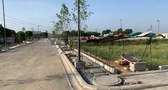  Plot For Resale in Sector 38 Gurgaon 5634509