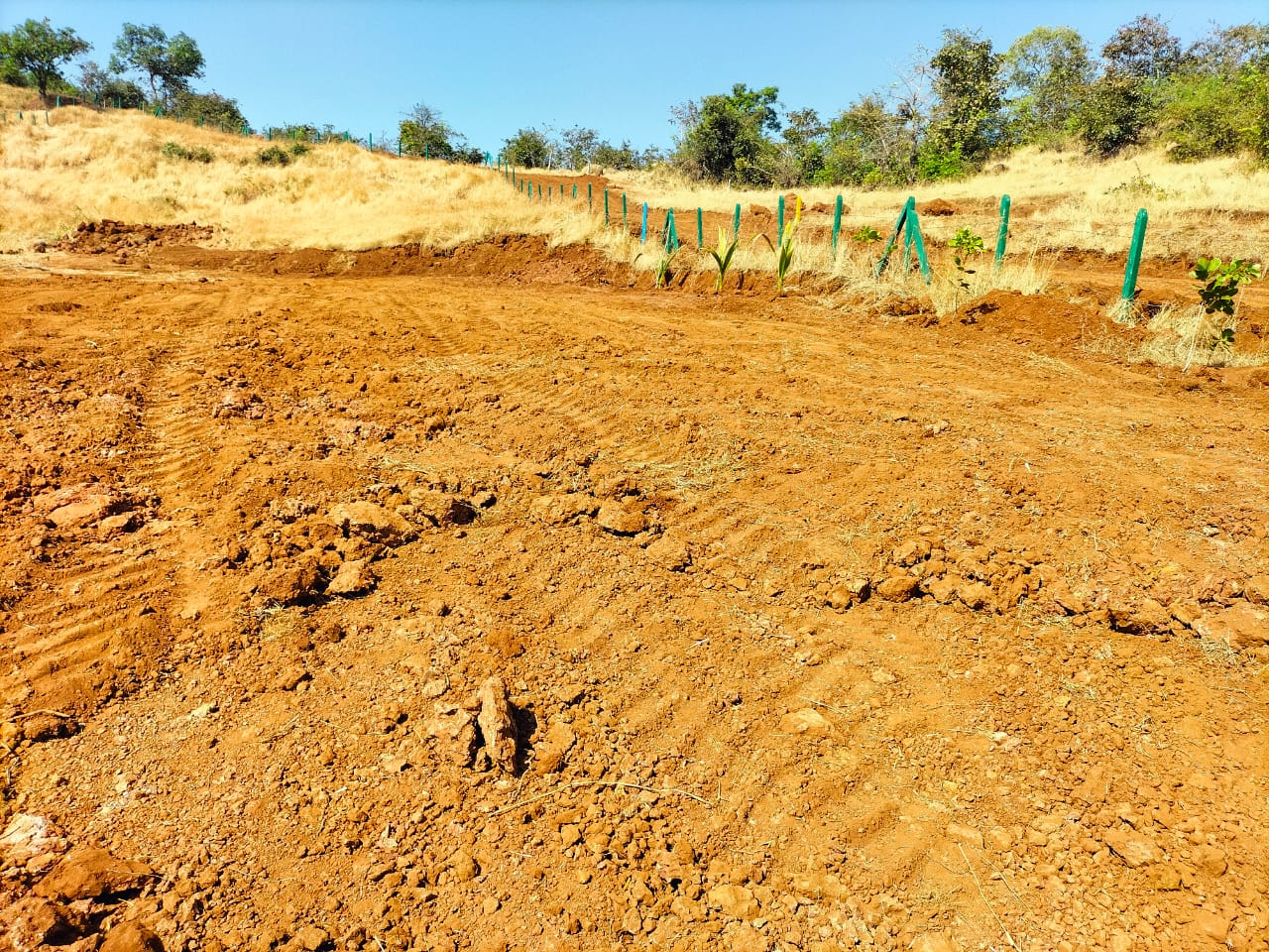 Resale 1000 Sq.Ft. Plot in Mangaon Raigad 5543350