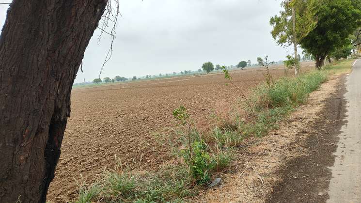 Commercial Land 7 Acre in Kutani Panipat