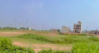  Plot For Resale in Mullanpur Chandigarh 5639122