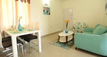 1 BHK Apartment For Resale in Sector 16 Karnal 5639775