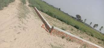  Plot For Resale in Sultanpur Road Lucknow 5641532