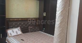 3 BHK Builder Floor For Rent in Sainik Colony Faridabad 5643547