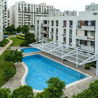 2 BHK Apartment For Resale in Vatika Gurgaon 21 Sector 83 Gurgaon 5643619
