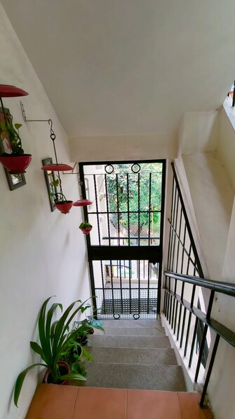 2 BHK Builder Floor For Rent in Masjid Moth DDA Flats RWA Greater Kailash I Delhi  5643671