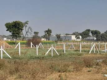  Plot For Resale in Sikri Faridabad 5643732