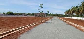 Commercial Land 2900 Sq.Ft. For Resale In Pudukkottai nh Trichy 5644111