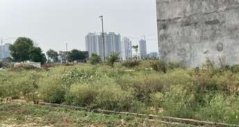  Plot For Resale in Sector 12 Greater Noida 5647577