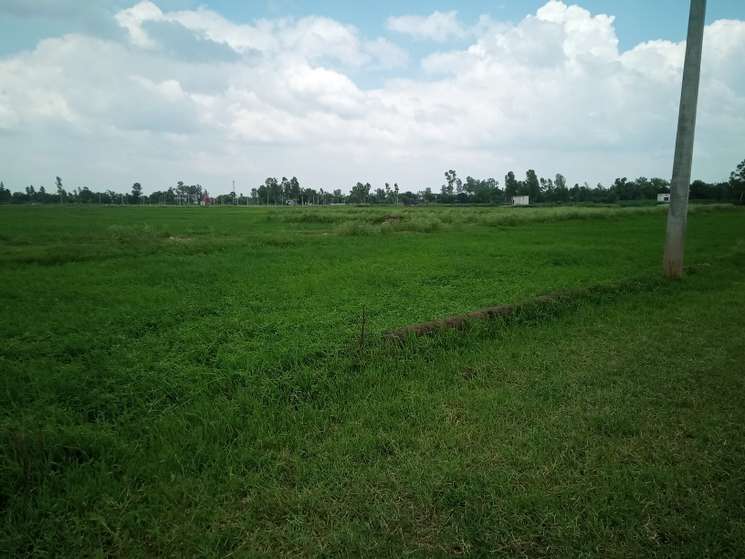 Commercial Land 1000 Sq.Ft. in Faizabad Road Lucknow