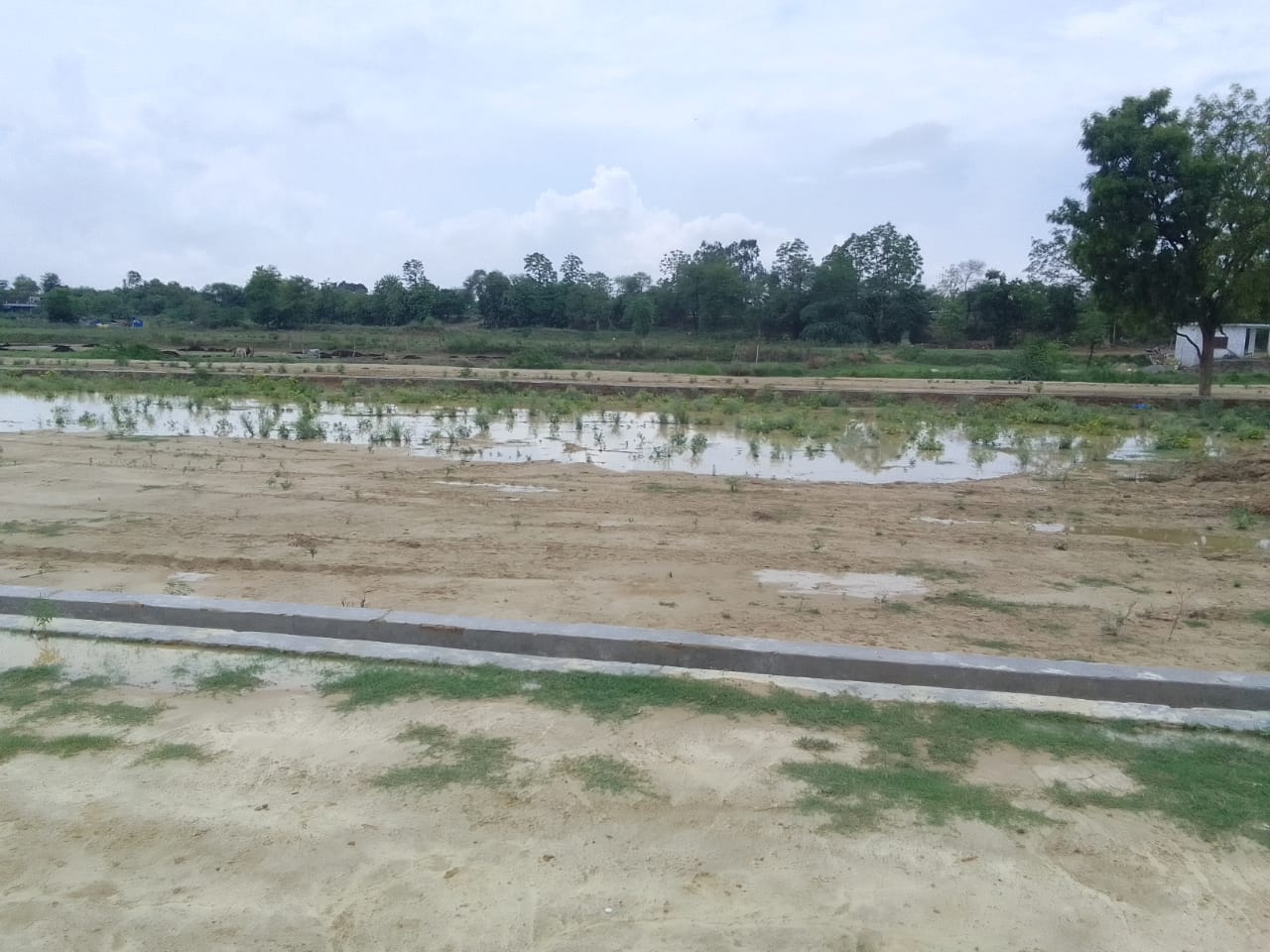 Resale 1000 Sq.Ft. Plot in Chinhat Lucknow 5648614