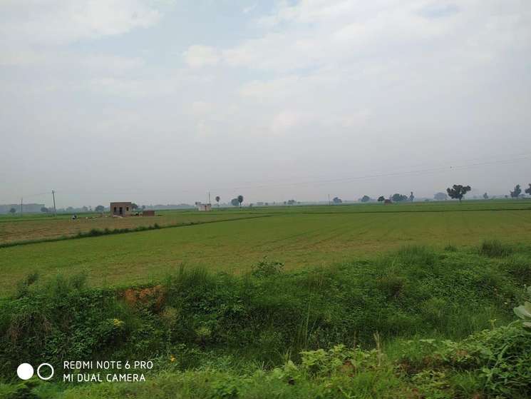 Commercial Land 5 Acre in Dhansa Delhi
